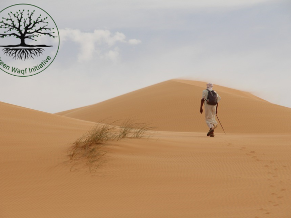 Mauritania Environmental Profile